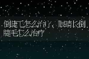 小仓鼠能活多久，仓鼠怎么养活的更长久