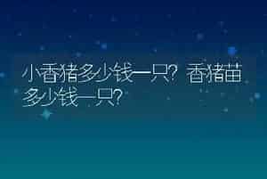 猪结节病是什么病？猪结节虫病症状表现有哪些？