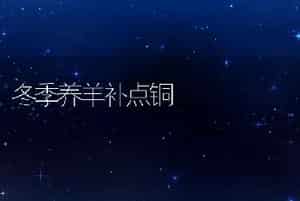 冬季养羊补点铜