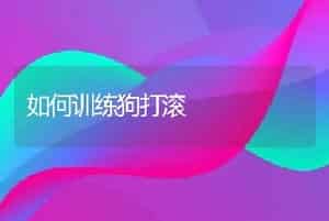 如何训练狗打滚
