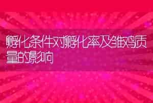 狐狸细小病毒病