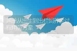 羔羊从出生到出栏饲养全过程用药方案