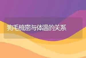 狗毛梳密与体温的关系