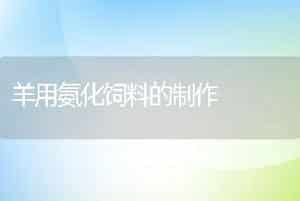 羊用氨化饲料的制作