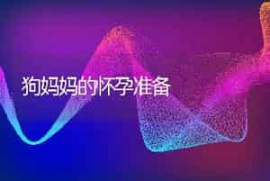 狗妈妈的怀孕准备