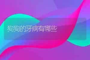 狗狗的牙病有哪些