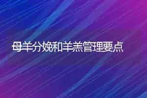 母羊分娩和羊羔管理要点