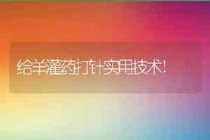 给羊灌药打针实用技术!
