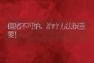 僵猪不可怕，治疗方法很重要!
