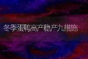 冬季蛋鸭高产稳产九措施