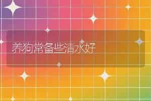 养狗常备些清水好