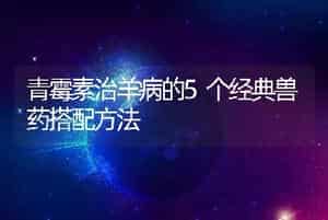青霉素治羊病的5个经典兽药搭配方法