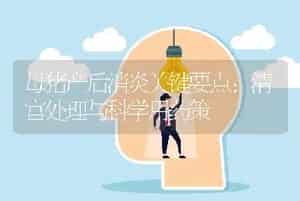 母猪产后消炎关键要点：清宫处理与科学用药策
