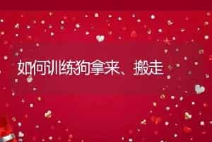 如何训练狗拿来、搬走
