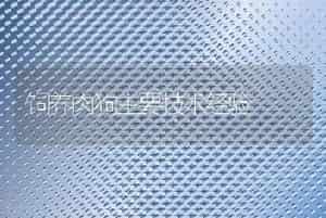 饲养肉狗主要技术经验