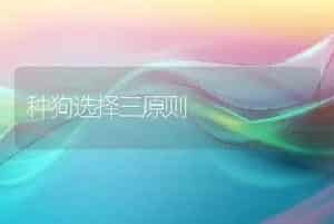 种狗选择三原则