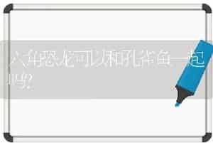 六角恐龙可以和孔雀鱼一起吗？