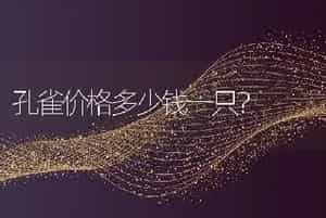 孔雀价格多少钱一只？
