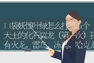 口袋妖怪叶绿怎么打第五个天王的化石翼龙（第一次）我有火龙，雷鸟，冻鸟，哈克龙，乘龙，长脖龙，求教？