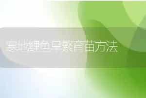 寒地鲤鱼早繁育苗方法