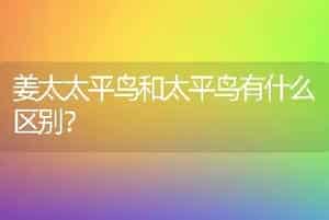 姜太太平鸟和太平鸟有什么区别？