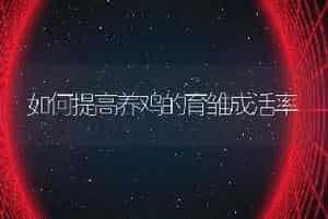 蝇蛆的 人工饲养