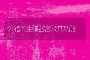 人工恒温养殖蝎子温度和湿度的协调
