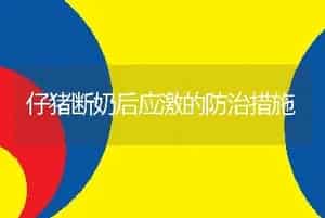 黑颈鸵鸟