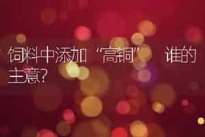 高羊茅（FESTUCAARUNDINACEA）