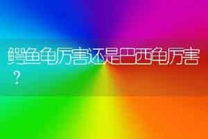 鳄鱼龟厉害还是巴西龟厉害？