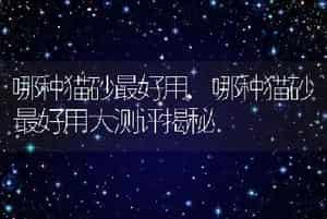 哪种猫砂最好用，哪种猫砂最好用大测评揭秘