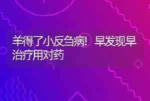 羊得了小反刍病!早发现早治疗用对药