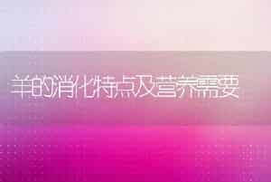 羊的消化特点及营养需要