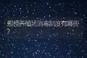规模养殖场消毒制度有哪些?