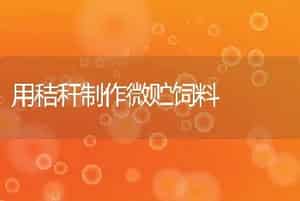 笼鸟饲料调配方法