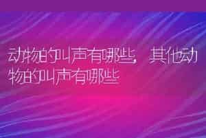 动物的叫声有哪些，其他动物的叫声有哪些