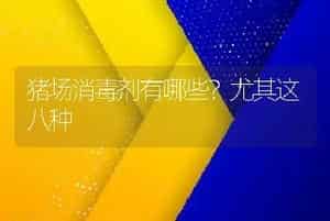 猪场消毒剂有哪些？尤其这八种