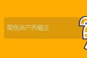 鲫鱼高产养殖法