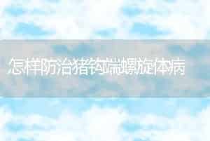 怎样防治猪钩端螺旋体病