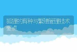 狐狸的育种与繁殖管理技术要点