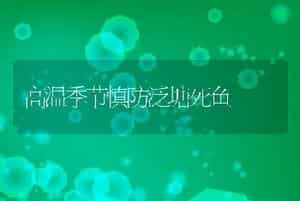科学养羊羔羊