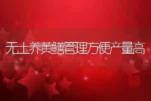 无土养黄鳝管理方便产量高