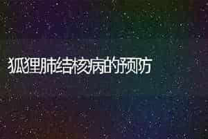 狐狸肺结核病的预防