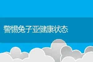 警惕兔子亚健康状态
