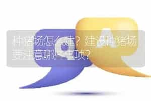 种猪场怎么建？建设种猪场要注意哪些事项？