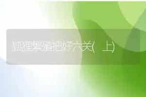 狐狸繁殖把好六关(上)
