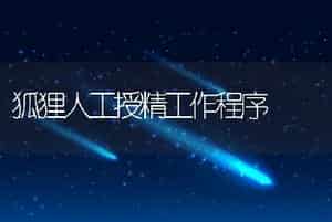 狐狸人工授精工作程序