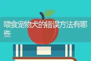 喂食宠物犬的错误方法有哪些