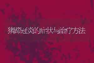 怎样建牛舍？20头牛牛舍建造图