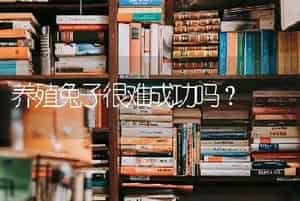 养殖兔子很难成功吗？